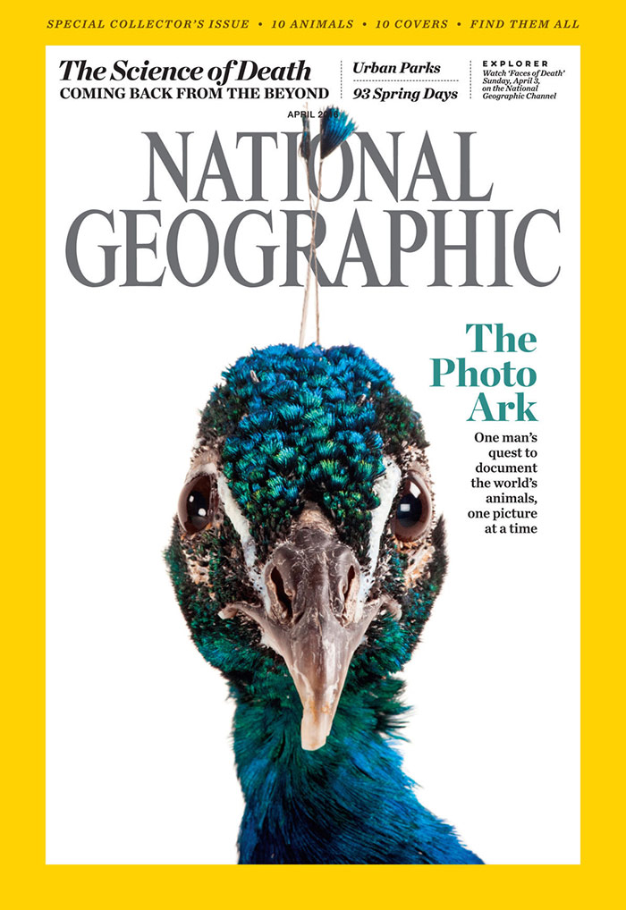 《国家地理》杂志封面设计