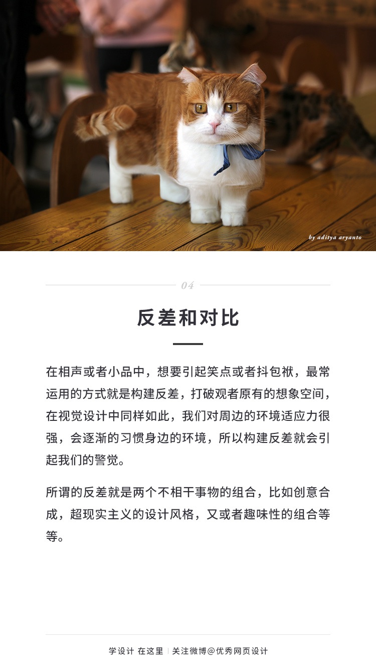 如何有效吸引读者视线？试试这9个小方法