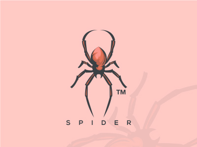 20款蜘蛛元素Logo设计