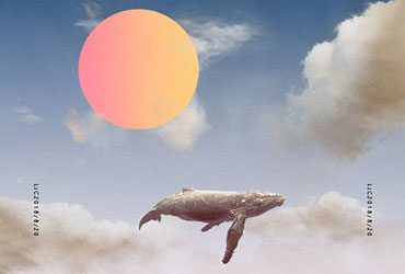 PS教程！天马星空的创意鲸鱼海报