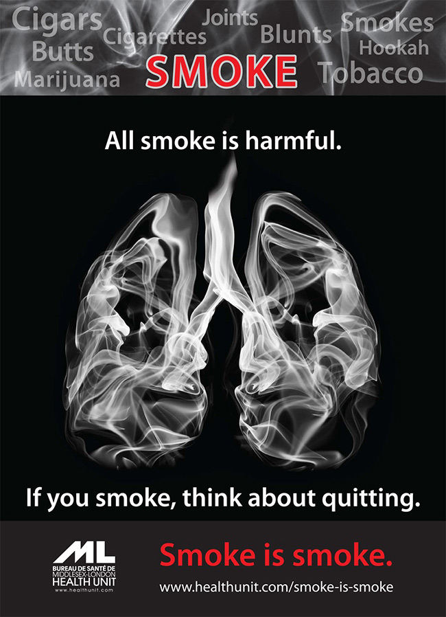 烟雾缭绕！吸烟的危害有多大？