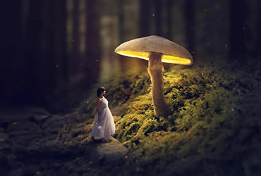PS教程！教你合成发光的蘑菇童话风格场景（含素材下载）