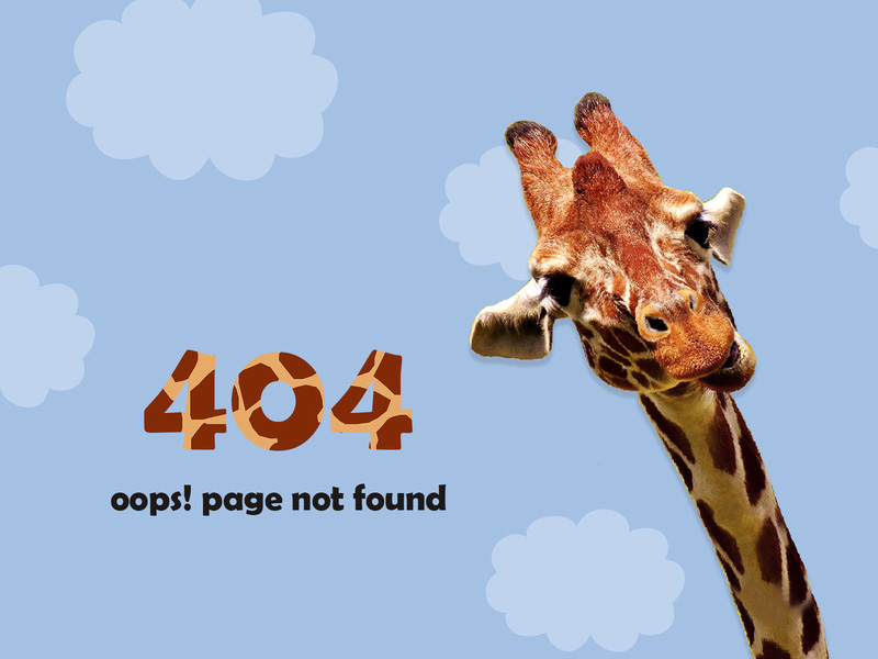 404页面原来也可以这么有趣！