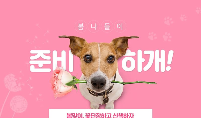 春暖花开！一组粉红色Banner设计