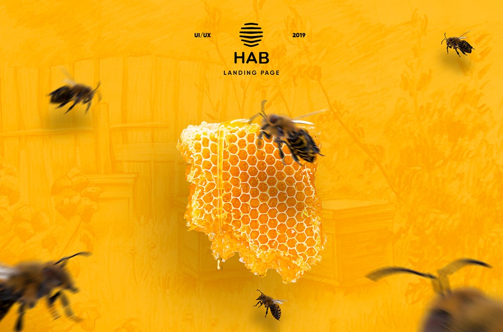 甜蜜蜜！18个蜂蜜产品Banner设计
