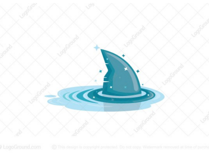 海洋霸主！52款鲨鱼Logo设计