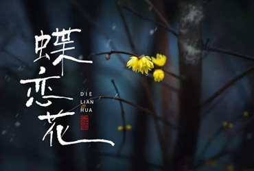 词牌名！30款蝶恋花字体设计