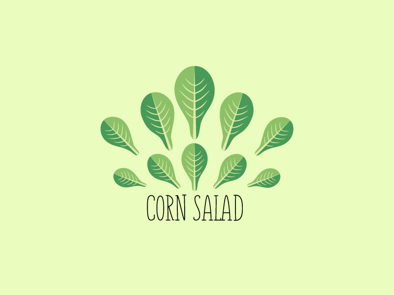 健康轻食！16款沙拉元素Logo设计