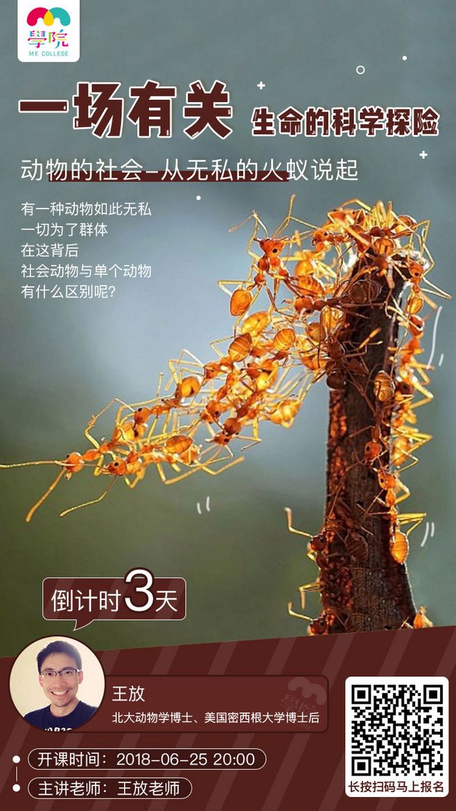 开课啦！15组课程宣传海报设计