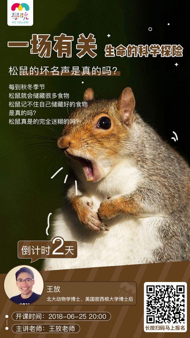 开课啦！15组课程宣传海报设计