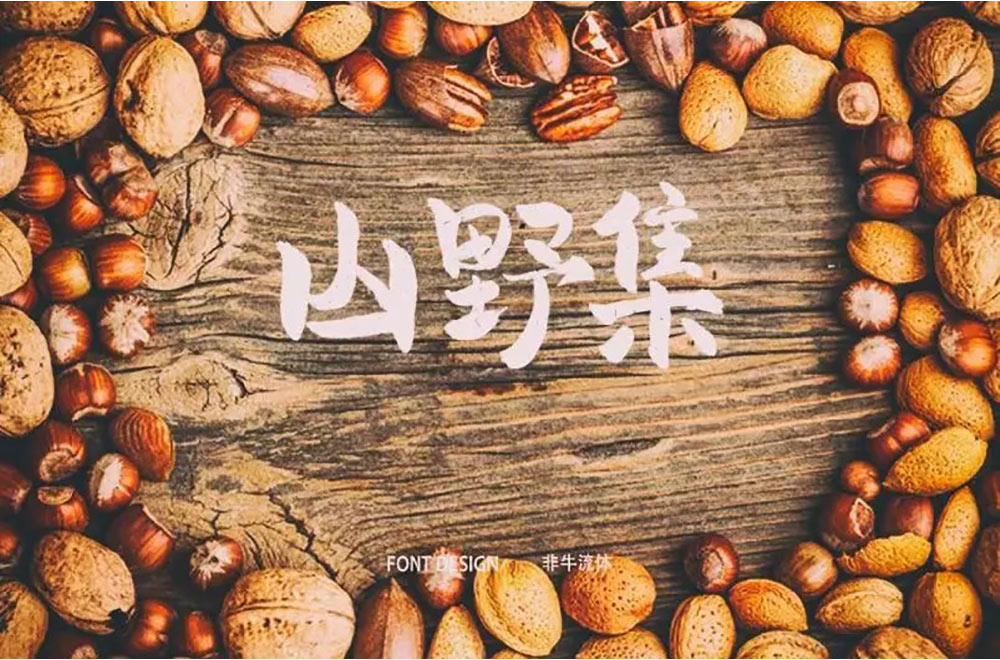 坚果零食！48款山野集字体设计