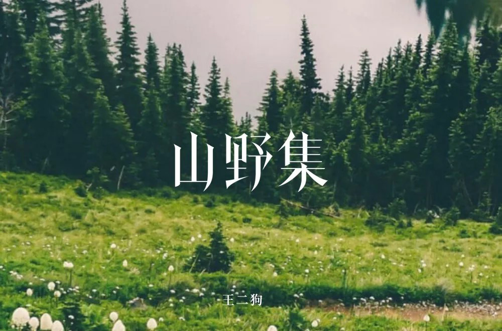 坚果零食！48款山野集字体设计