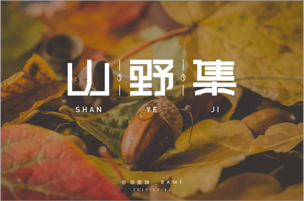 坚果零食！48款山野集字体设计