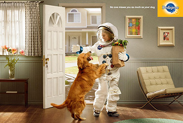 宠物品牌Pedigree商业海报设计