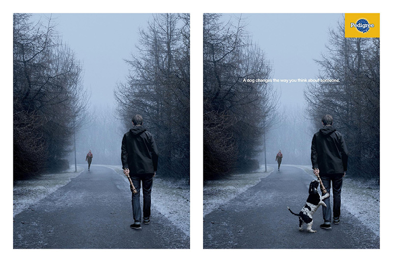 宠物品牌Pedigree商业海报设计