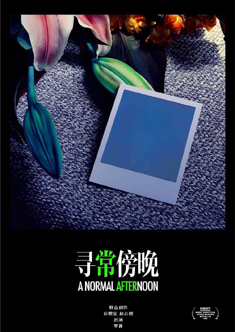 FIRST青年电影展展映电影海报设计
