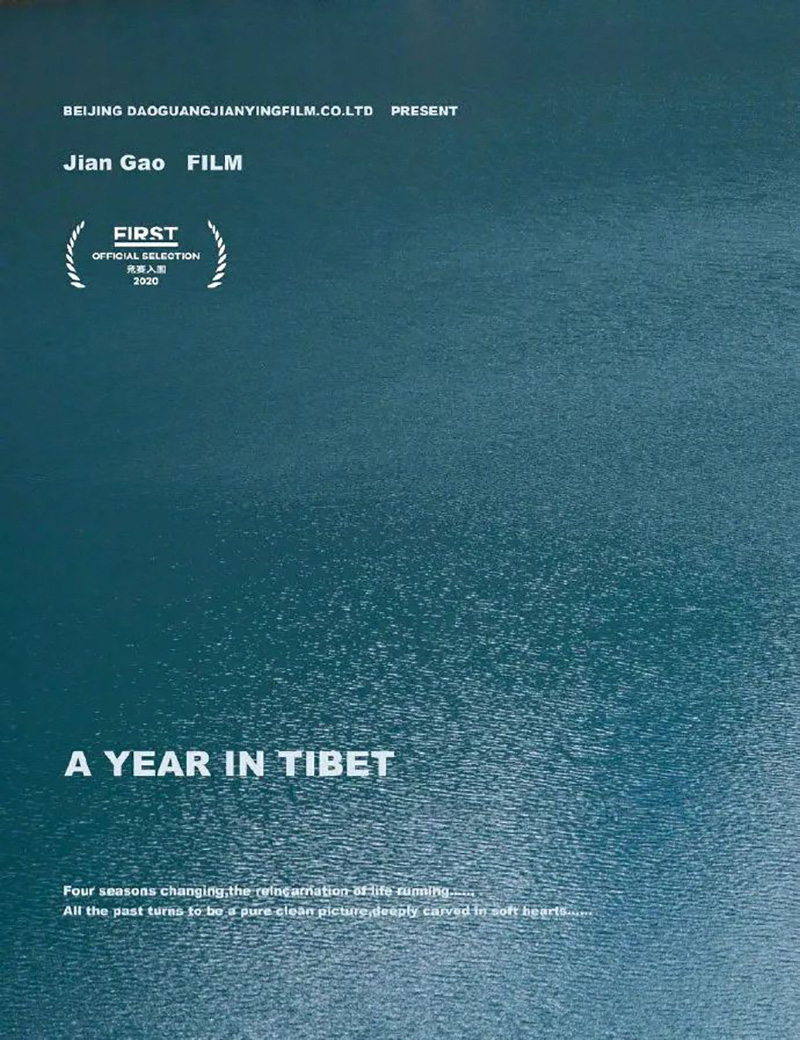 FIRST青年电影展展映电影海报设计