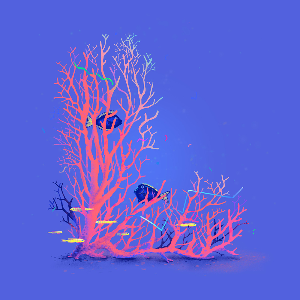 灵动生命！26款海洋生物字体设计