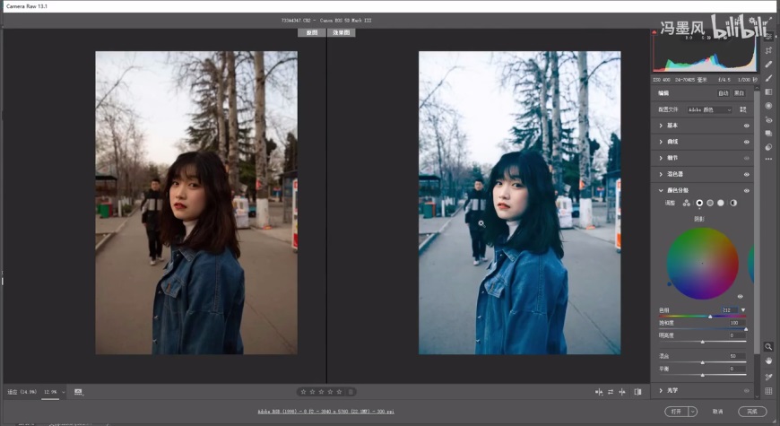 PS修图教程！清新ins风的camera raw人像修图调色思路