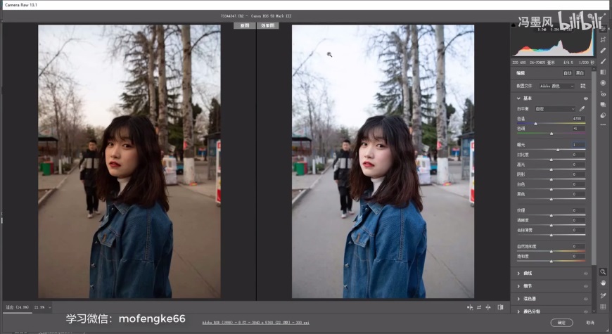 PS修图教程！清新ins风的camera raw人像修图调色思路