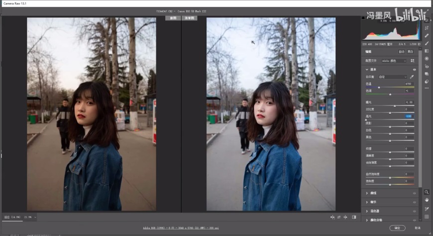 PS修图教程！清新ins风的camera raw人像修图调色思路