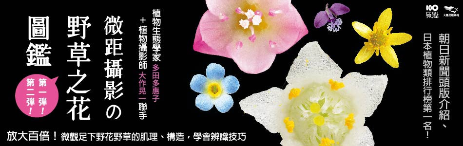 书籍上新简介banner设计