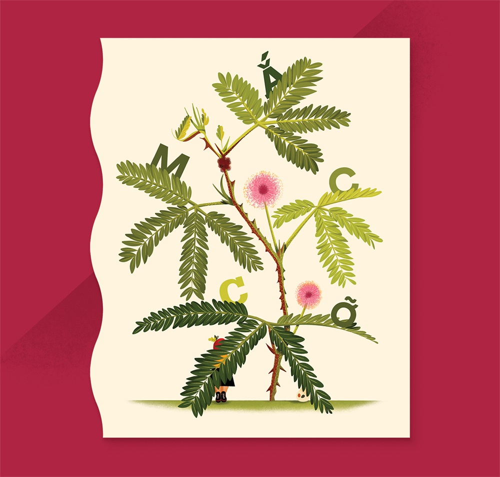 20张植物为主题的书籍配图