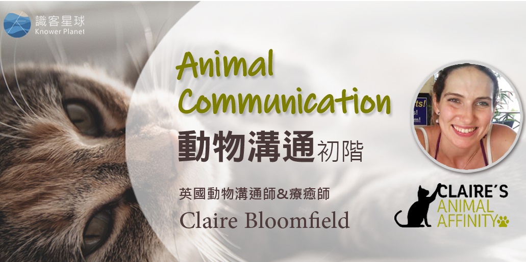 有关宠物主题的课程活动banner设计