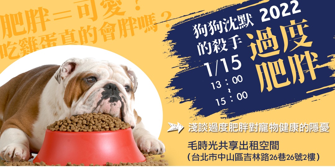 有关宠物主题的课程活动banner设计