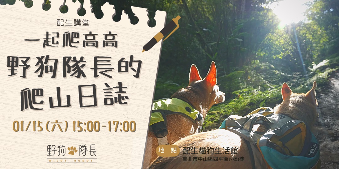 有关宠物主题的课程活动banner设计