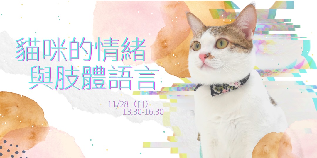 有关宠物主题的课程活动banner设计