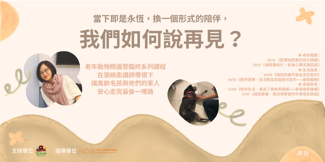 有关宠物主题的课程活动banner设计