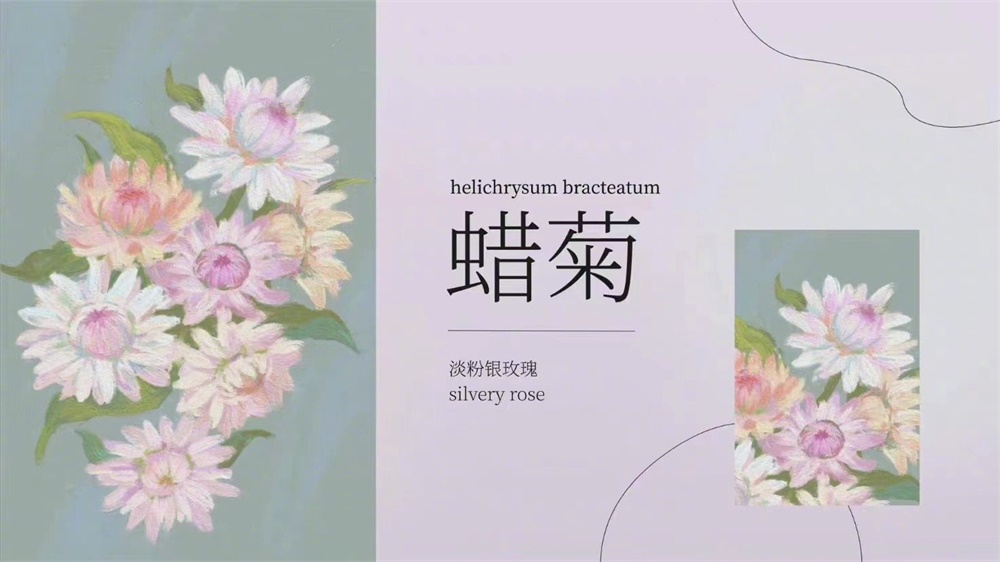 10 张配色惊艳的花朵插画海报！