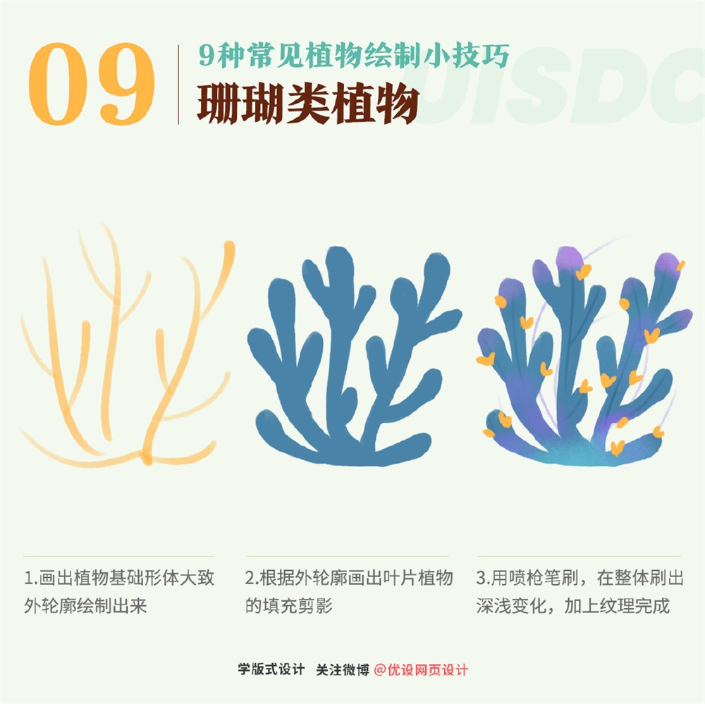 9 种常见植物绘制小技巧