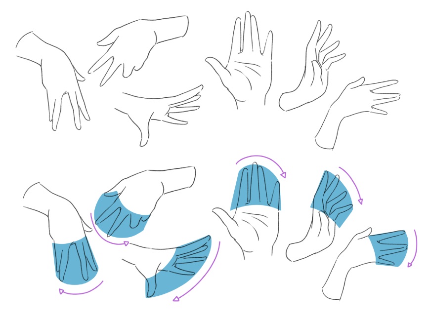 手绘教程超全的手部绘制指南新手也能快速攻克画手难题