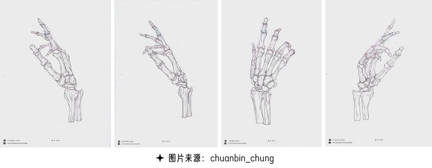 手绘教程！超全的手部绘制指南，新手也能快速攻克画手难题！