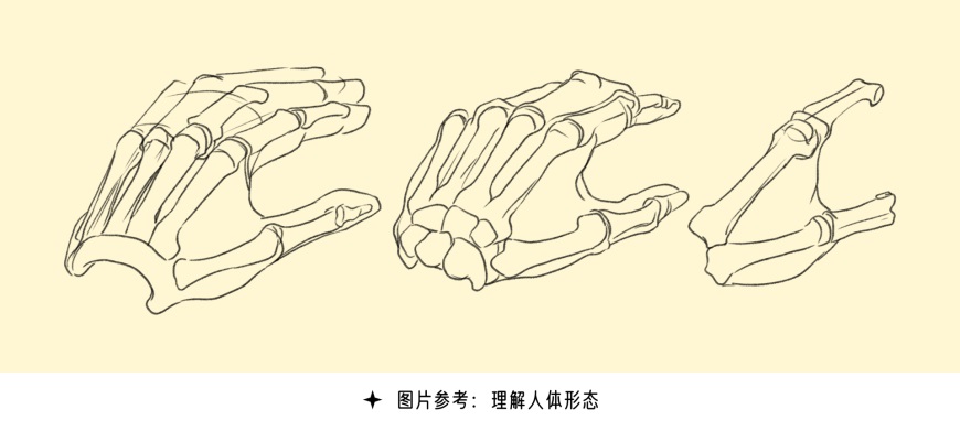 手绘教程！超全的手部绘制指南，新手也能快速攻克画手难题！