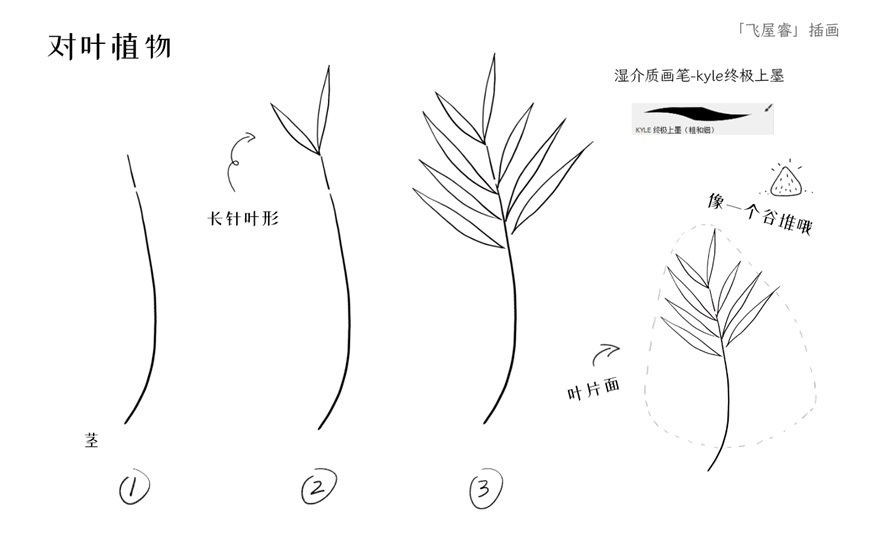 手繪教程新手必學的控線練習文藝水彩線描植物簡筆畫附筆刷下載