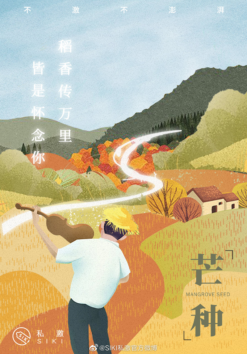 金灿灿！12张芒种节气插画海报