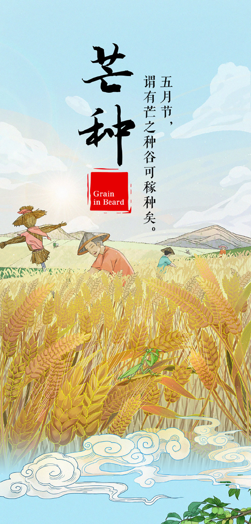 金灿灿！12张芒种节气插画海报