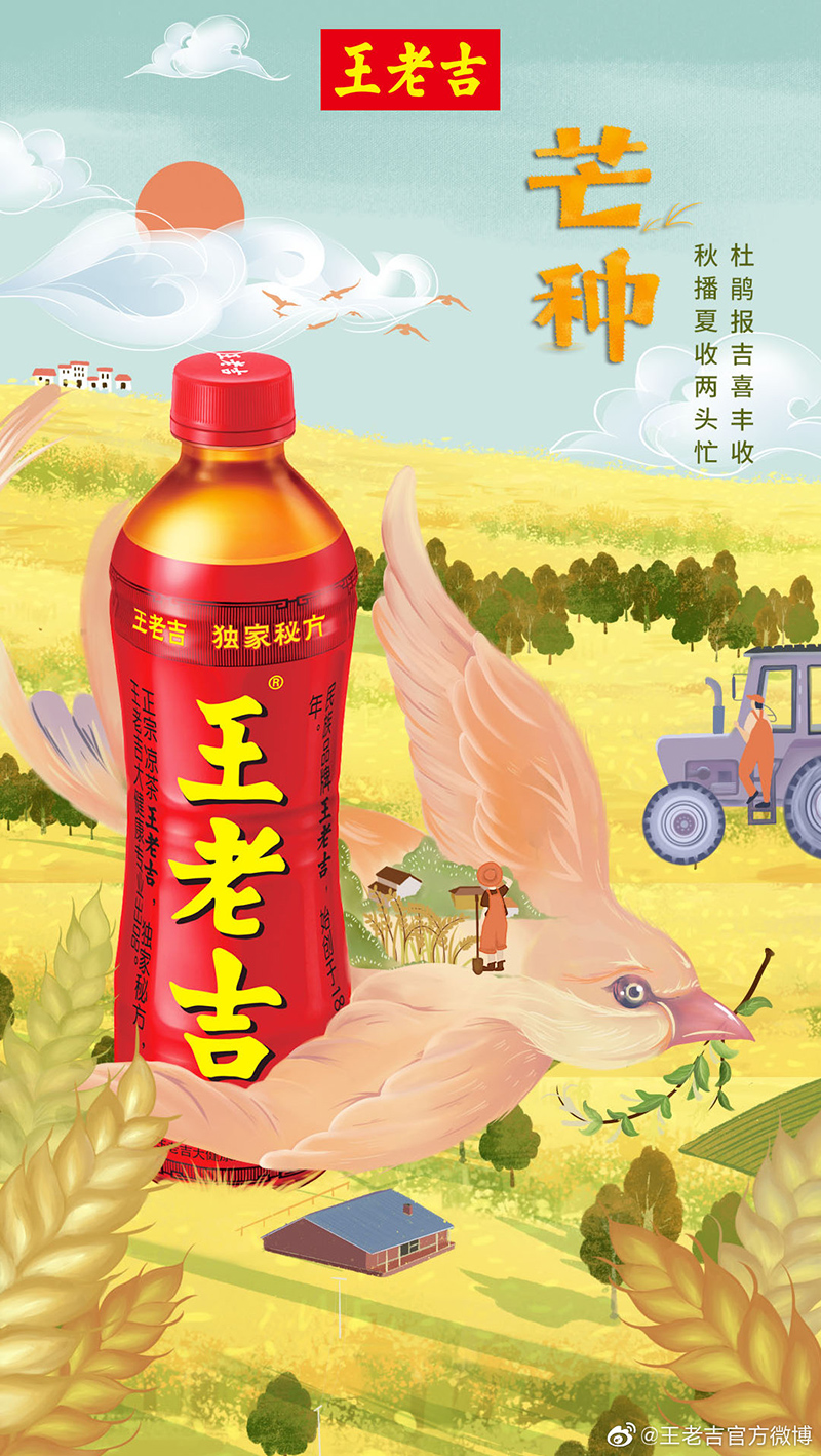 金灿灿！12张芒种节气插画海报