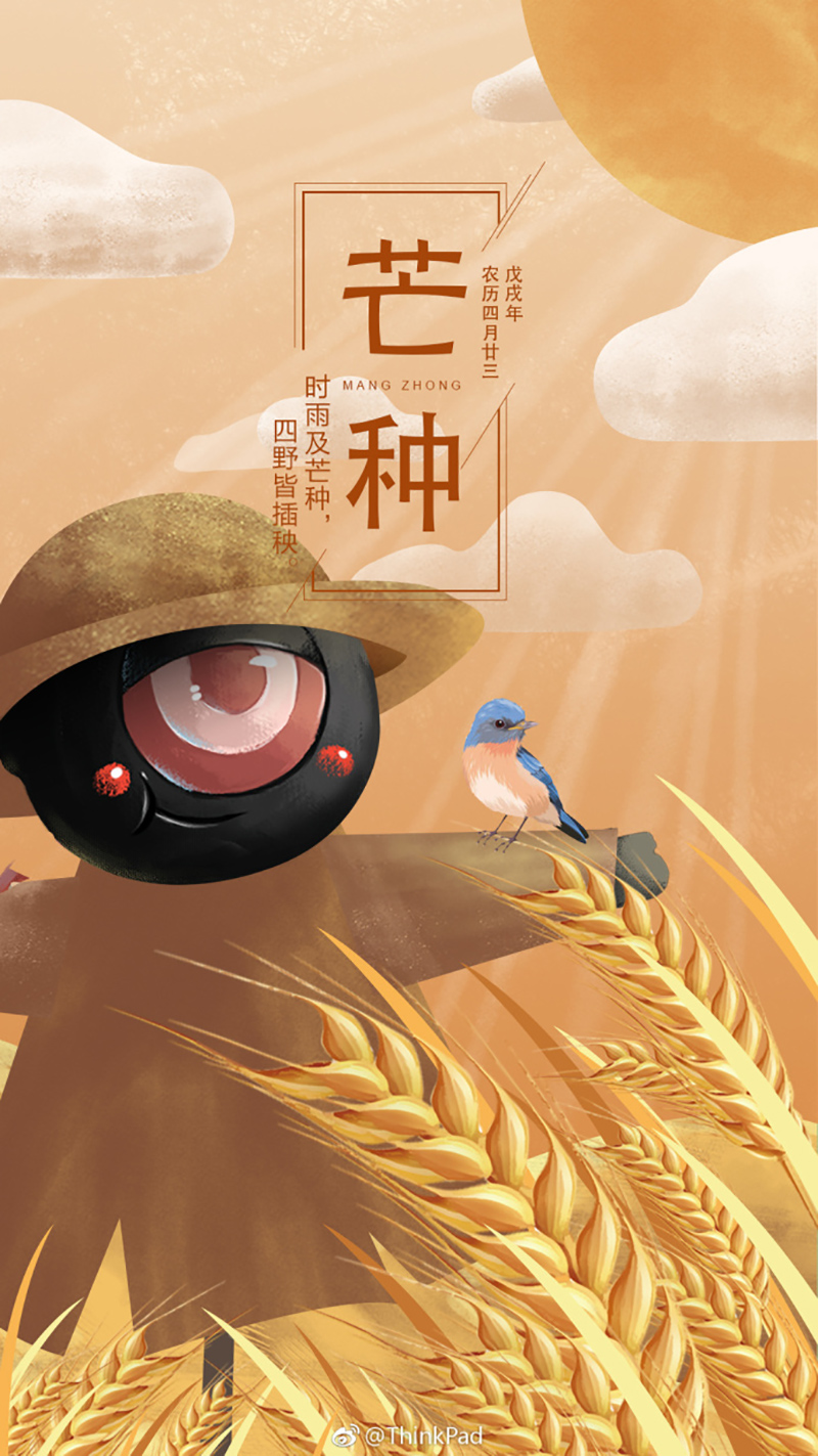 金灿灿！12张芒种节气插画海报