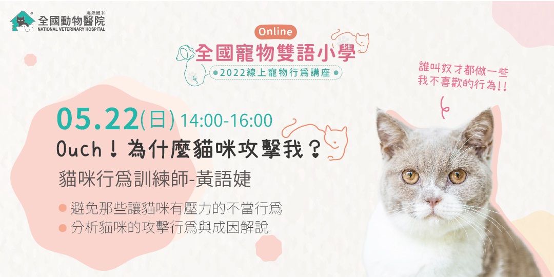 日期排版！一组宠物主题活动banner设计