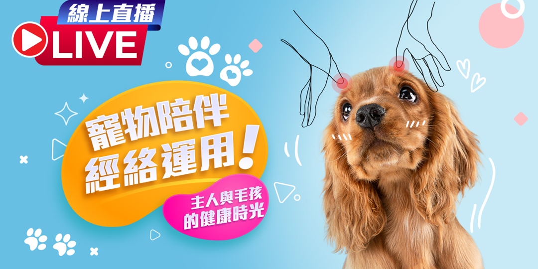 日期排版！一组宠物主题活动banner设计