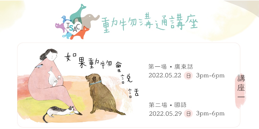 日期排版！一组宠物主题活动banner设计