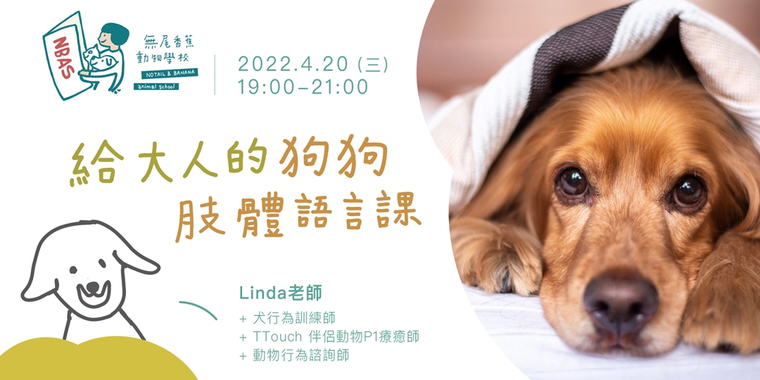 日期排版！一组宠物主题活动banner设计