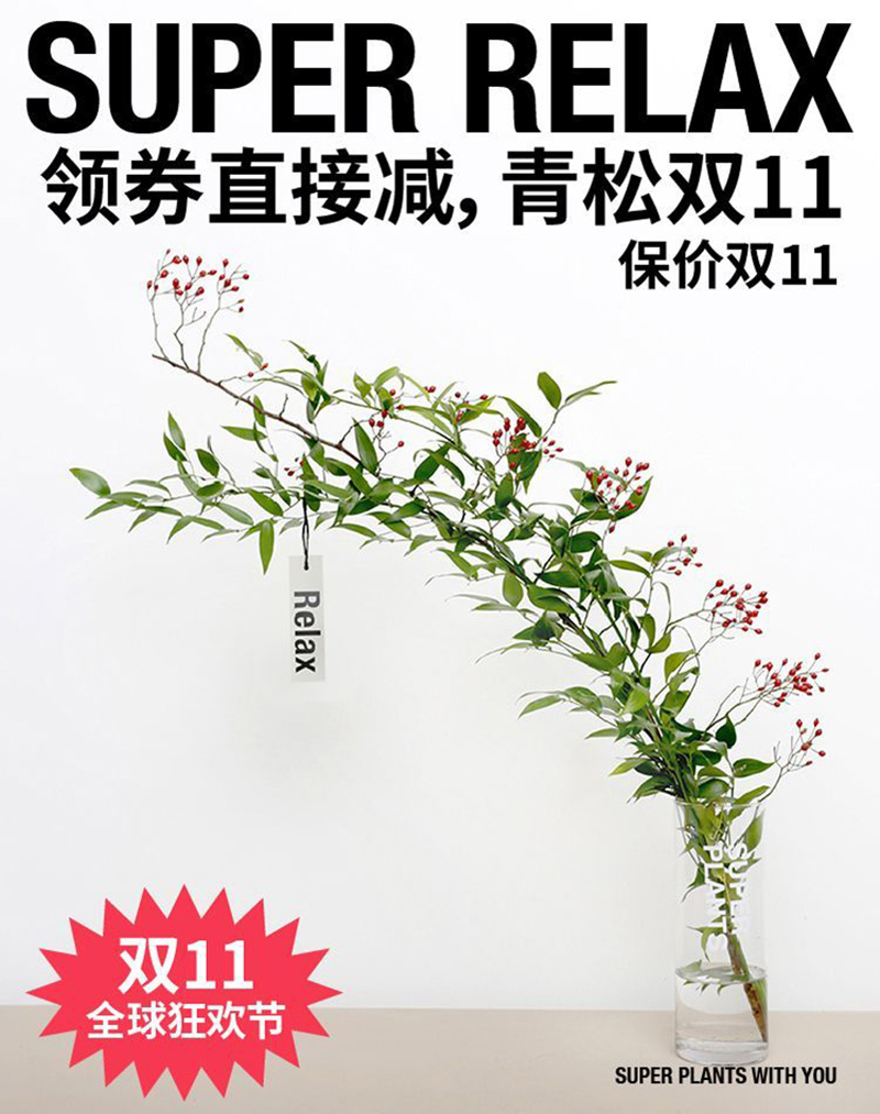 简洁风格！24张超级植物公司产品海报