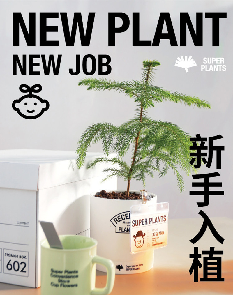 简洁风格！24张超级植物公司产品海报