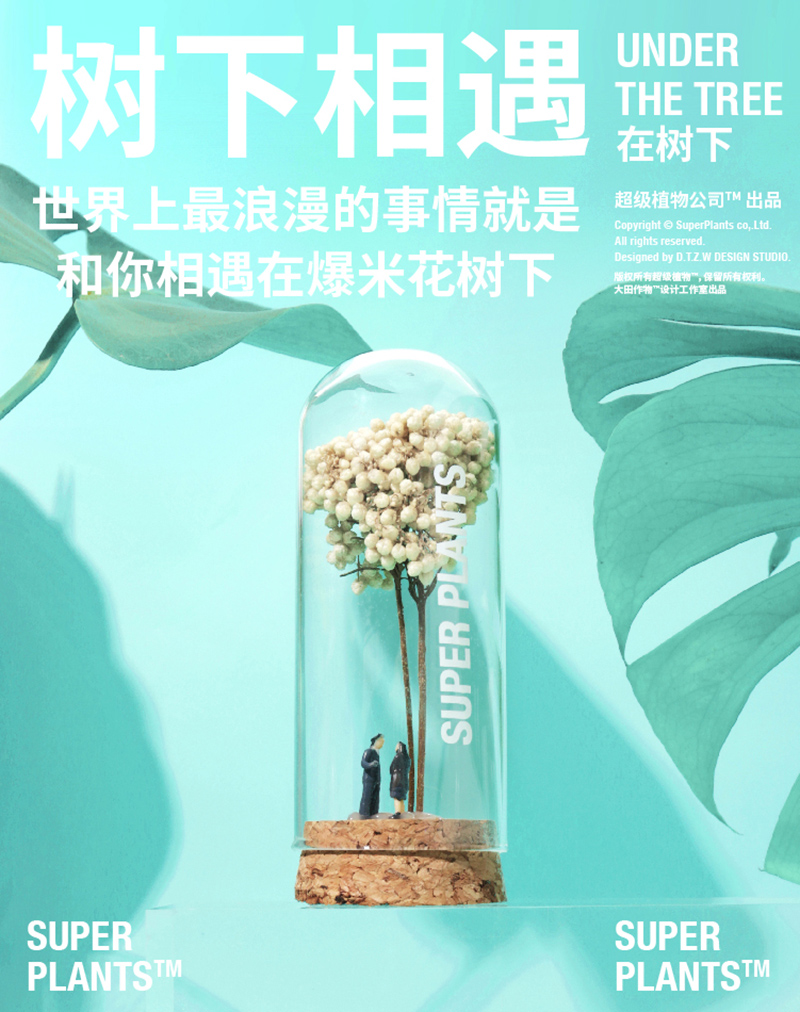 简洁风格！24张超级植物公司产品海报