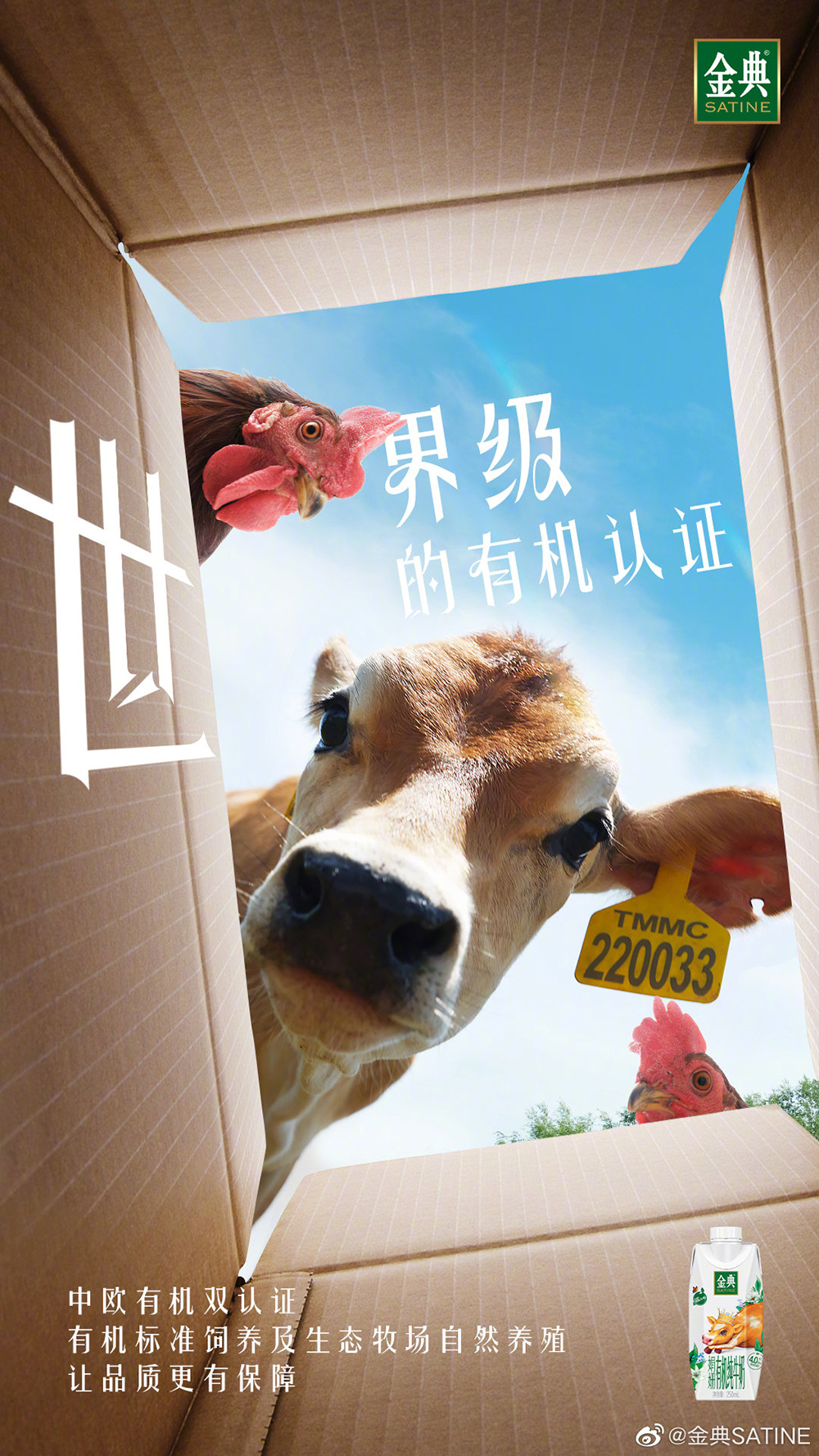 有机看得见！12张金典牛奶商业海报